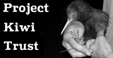 Project Kiwi